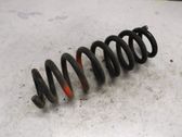 Rear coil spring