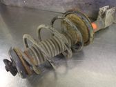 Front shock absorber with coil spring