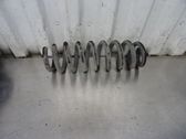 Rear coil spring