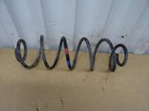Feder hinten