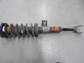 Front shock absorber with coil spring