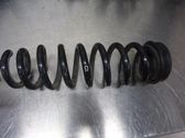 Rear coil spring
