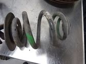 Muelle espiral trasero