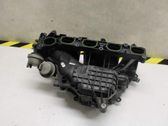 Intake manifold