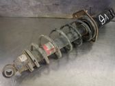 Stoßdämpfer hinten