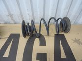 Rear coil spring