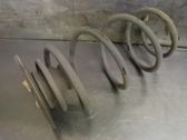 Rear coil spring