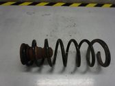 Rear coil spring