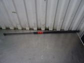 Tailgate strut