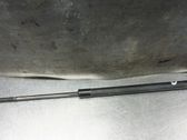 Tailgate strut