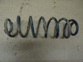 Rear coil spring