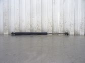 Tailgate strut