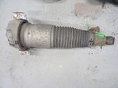 Stoßdämpfer hinten