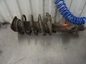 Front shock absorber with coil spring