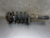 Front shock absorber with coil spring