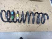 Rear coil spring