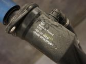 Fuel tank filler neck pipe