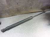 Tailgate strut
