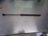 Tailgate strut