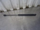 Tailgate strut