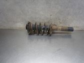 Front shock absorber with coil spring