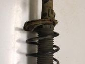 Front shock absorber with coil spring