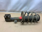 Front shock absorber with coil spring
