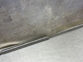 Tailgate strut