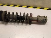 Front shock absorber with coil spring