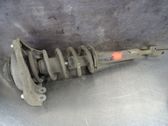 Front shock absorber with coil spring
