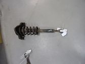 Front shock absorber with coil spring