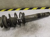 Front shock absorber with coil spring