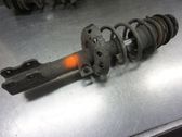 Front shock absorber with coil spring