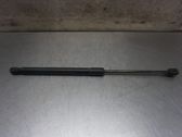Tailgate strut