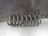 Rear coil spring
