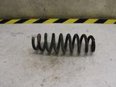 Rear coil spring
