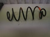 Rear coil spring