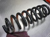 Rear coil spring