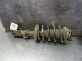 Front shock absorber with coil spring