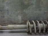 Front shock absorber with coil spring