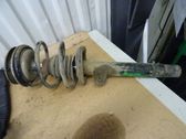 Front shock absorber with coil spring