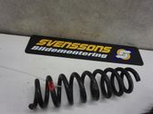Rear coil spring