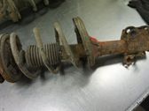 Front shock absorber with coil spring