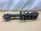 Front shock absorber with coil spring