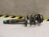 Front shock absorber with coil spring