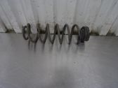 Muelle espiral trasero