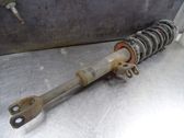 Front shock absorber with coil spring