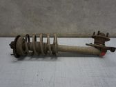 Front shock absorber with coil spring