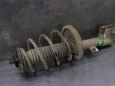 Front shock absorber with coil spring