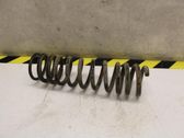 Rear coil spring